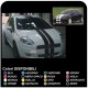 Des autocollants pour le capot, le toit et le couvercle de coffre pour FIAT GRANDE PUNTO ABARTH 1.2 1.4 1.6 1.8 2.0 LIMITED