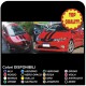 Stripes and bonnet and roof Stickers for HONDA CIVIC type R 1.6 1.8 2.2 D ictdi's Compatible for the civic 3 and 5 door