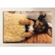 Paintings personalized with a photo provided by you