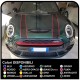 Stickers HOOD two-tone MINI COOPER S bands HOOD BACK VIPER adhesive strips mini cooper