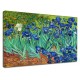 Image Van Gogh - Iris - les Iris de Van Gogh Peinture d'impression sur toile avec ou sans cadre