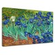 Quadro Van Gogh - Iris - Van Gogh  Irises Quadro stampa su tela canvas con o senza telaio