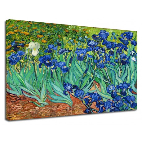 Image Van Gogh - Iris - les Iris de Van Gogh Peinture d'impression sur toile avec ou sans cadre
