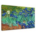 Image Van Gogh - Iris - les Iris de Van Gogh Peinture d'impression sur toile avec ou sans cadre