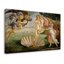 Quadro Botticelli - La nascita di Venere - La Venere di Botticelli - Quadro stampa su tela canvas con o senza telaio