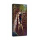 The framework of The bookworm - Carl Spitzweg - print on canvas with or without frame