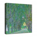L'image de l'Avenue du château de Kammer - Gustav Klimt - impression sur toile avec ou sans cadre