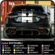 Pegatinas engomada para Alfa Romeo Giulia engomada Rally o Strips de decoración de automóviles VIPER