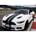 aufkleber motorhaube dach for mustang or viper car decoration rally strips dekor auto Rallye-Streifen