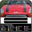 stickers hood mini cooper Stripes Rally Car Viper kit adhesive stripes COUNTRYMAN John Cooper the ONE with ALL the MODELS